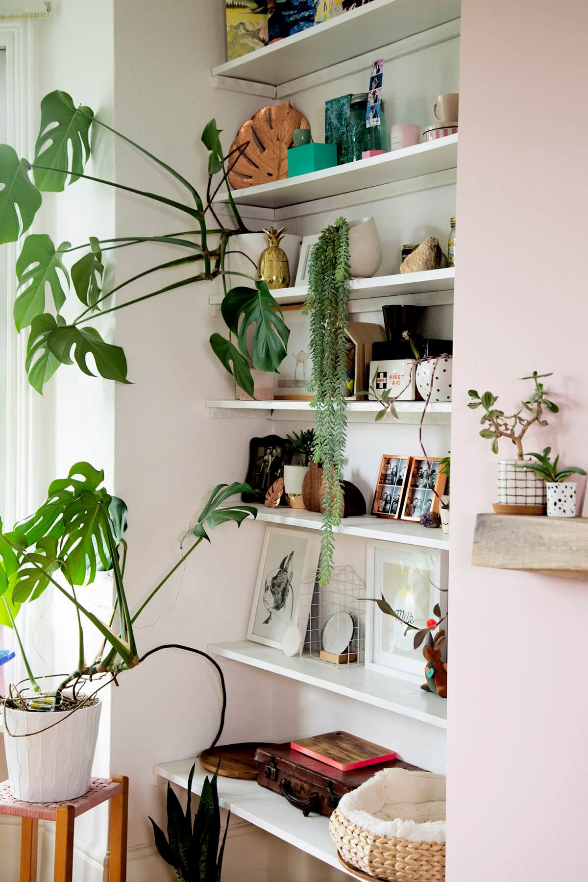 Pink And Plants In An Edwardian Home in England 4 edwardian home pink plants nordroom3 Pink And Plants In An Edwardian Home in England