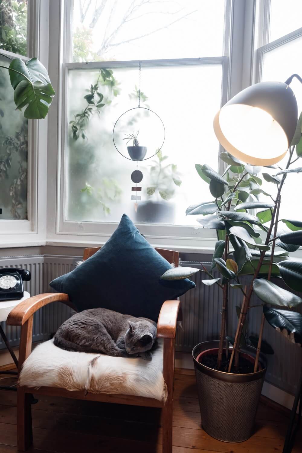 A Cozy Grey London Home Packed With Plants & Art 4 grey london home plants art nordroom3 A Cozy Grey London Home Packed With Plants & Art