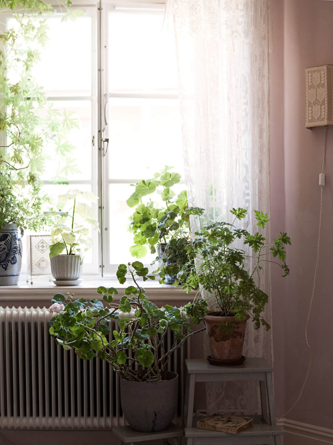 A Romantic Vintage Apartment in Stockholm 15 plants lace curtains A Romantic Vintage Apartment in Stockholm