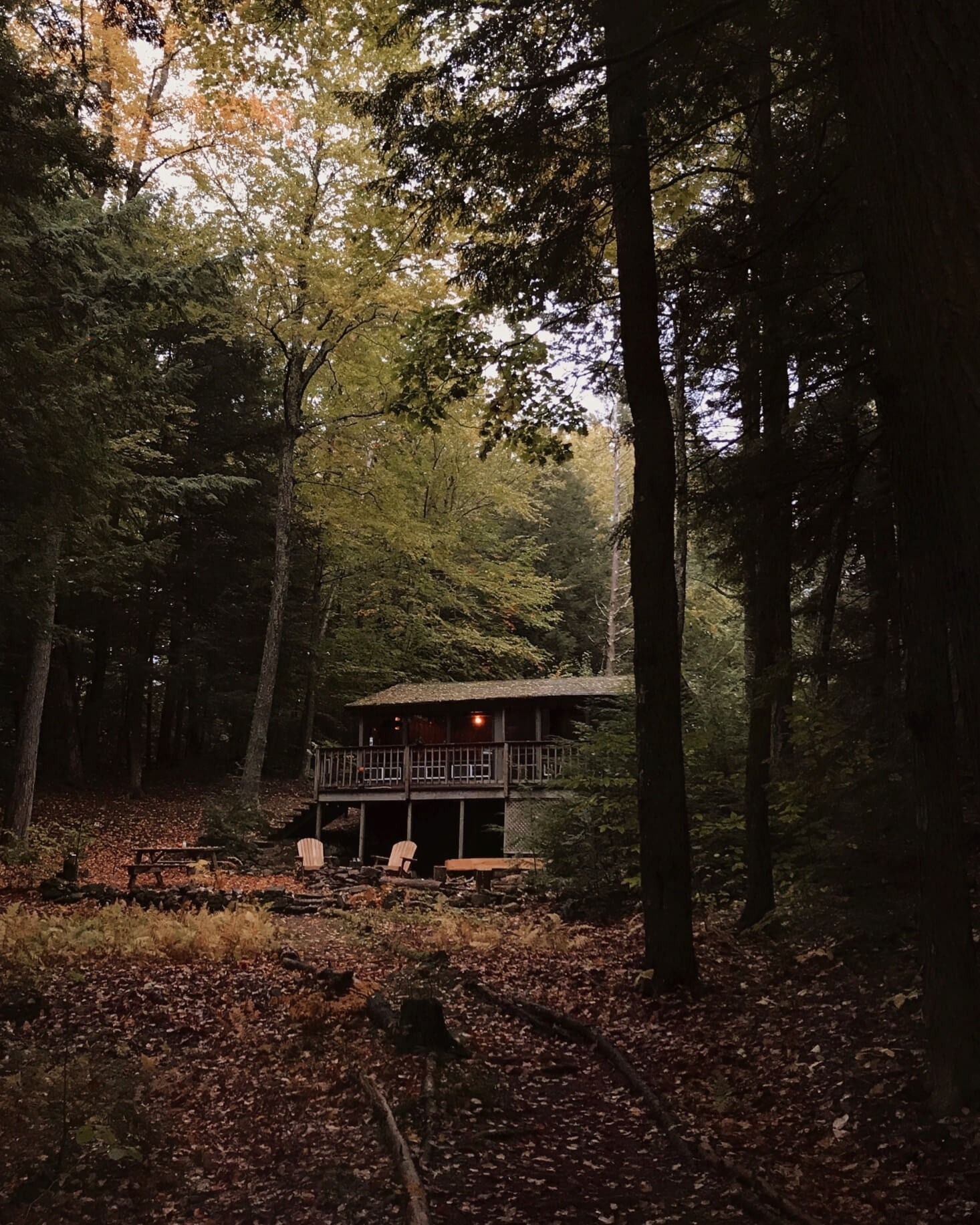 A Cabin in the Woods by Forestbound Founder Alice Saunders 11 cabin in the woods forestbound nordroom10 A Cabin in the Woods by Forestbound Founder Alice Saunders