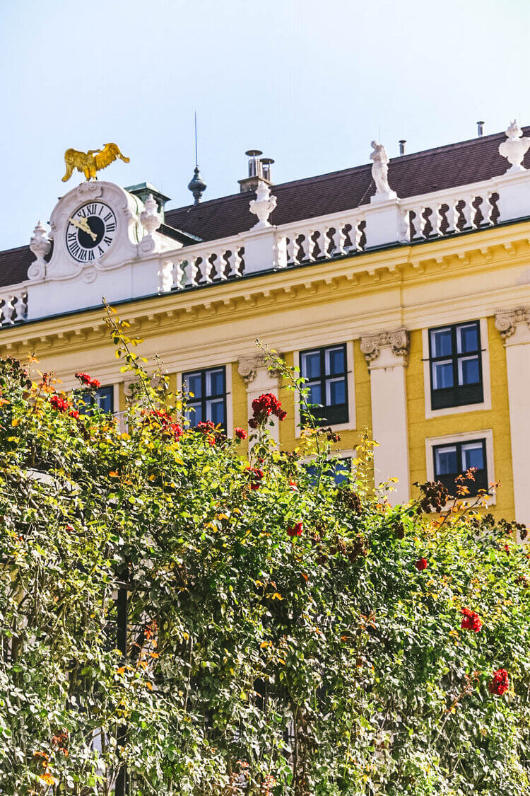 Vienna City Guide 17 vienna city guide schonbrunn palace nordroom2 Vienna City Guide