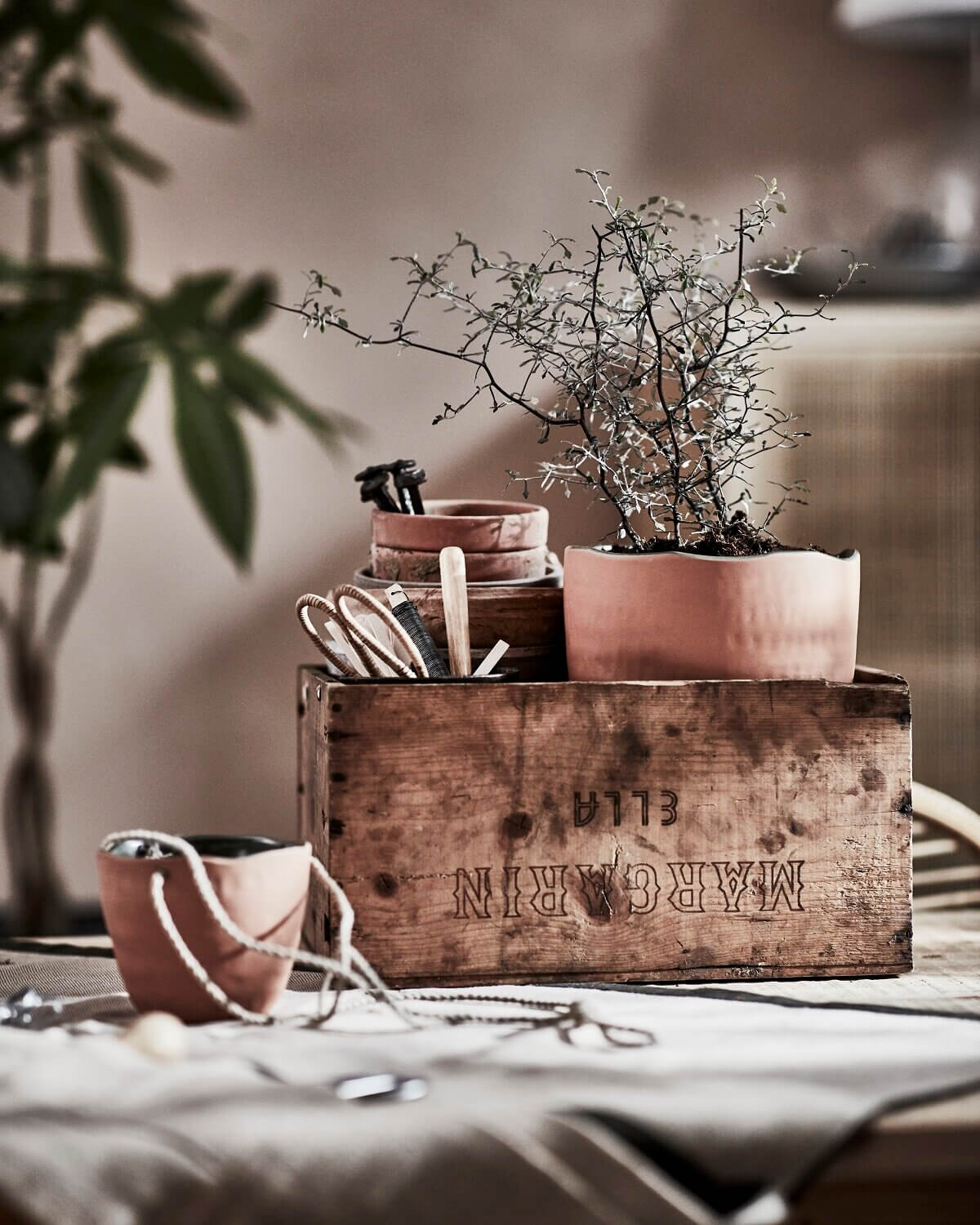 Botanisk: A Handmade Indoor Gardening Collection by IKEA 12 ikea botanisk collection nordroom11 Botanisk: A Handmade Indoor Gardening Collection by IKEA