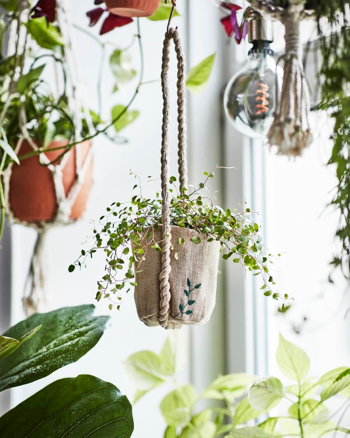 Botanisk: A Handmade Indoor Gardening Collection by IKEA 6 ikea botanisk collection nordroom5 Botanisk: A Handmade Indoor Gardening Collection by IKEA