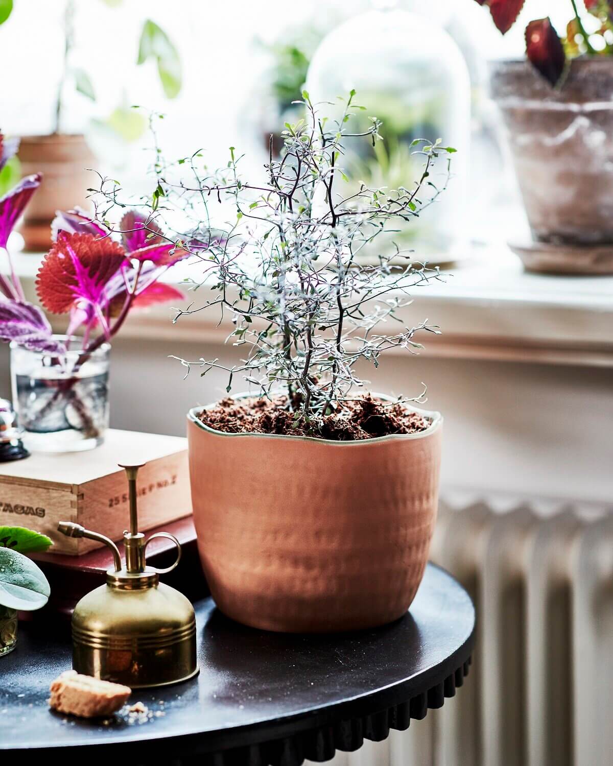 Botanisk: A Handmade Indoor Gardening Collection by IKEA 7 ikea botanisk collection nordroom6 Botanisk: A Handmade Indoor Gardening Collection by IKEA