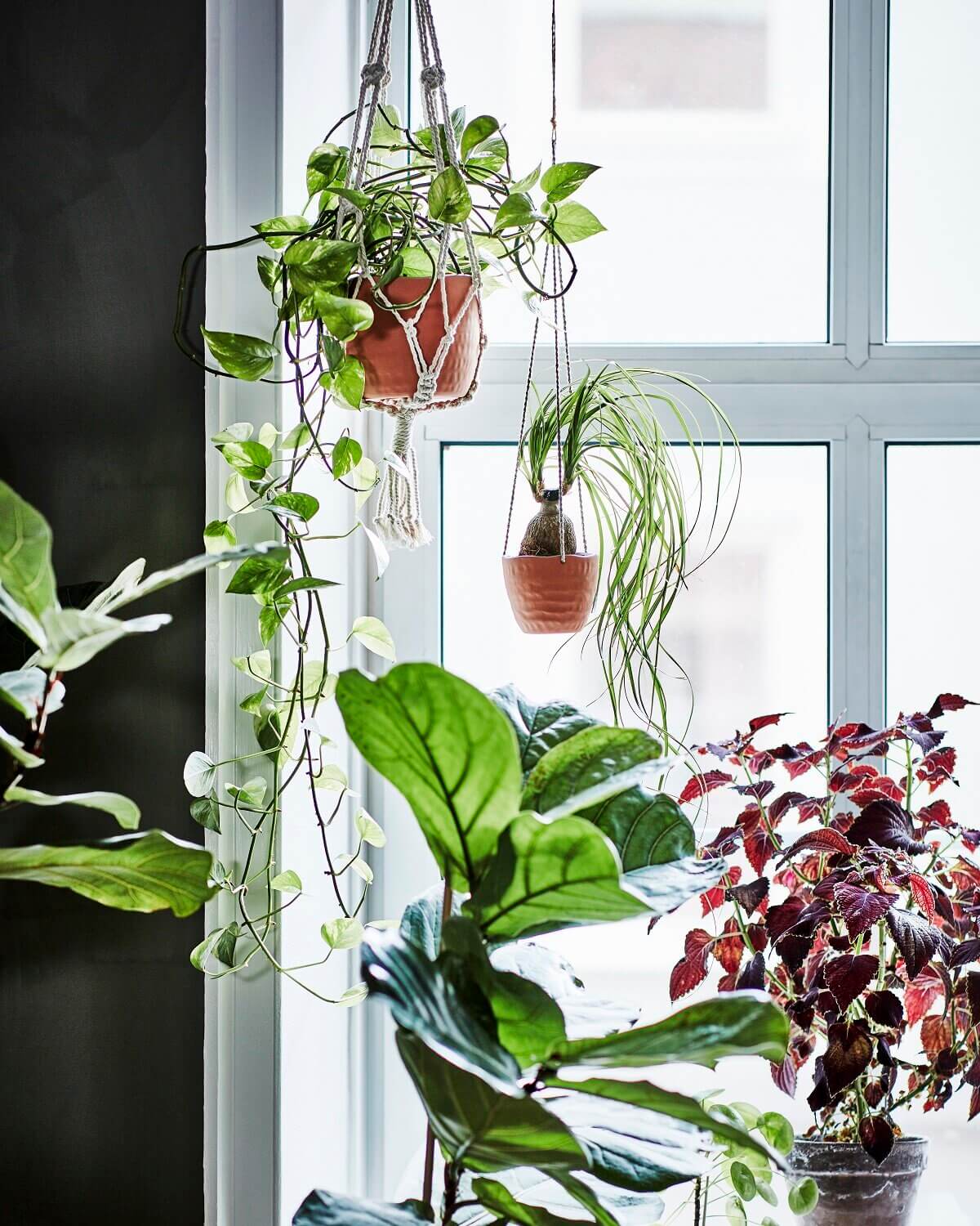 Botanisk: A Handmade Indoor Gardening Collection by IKEA 9 ikea botanisk collection nordroom8 Botanisk: A Handmade Indoor Gardening Collection by IKEA