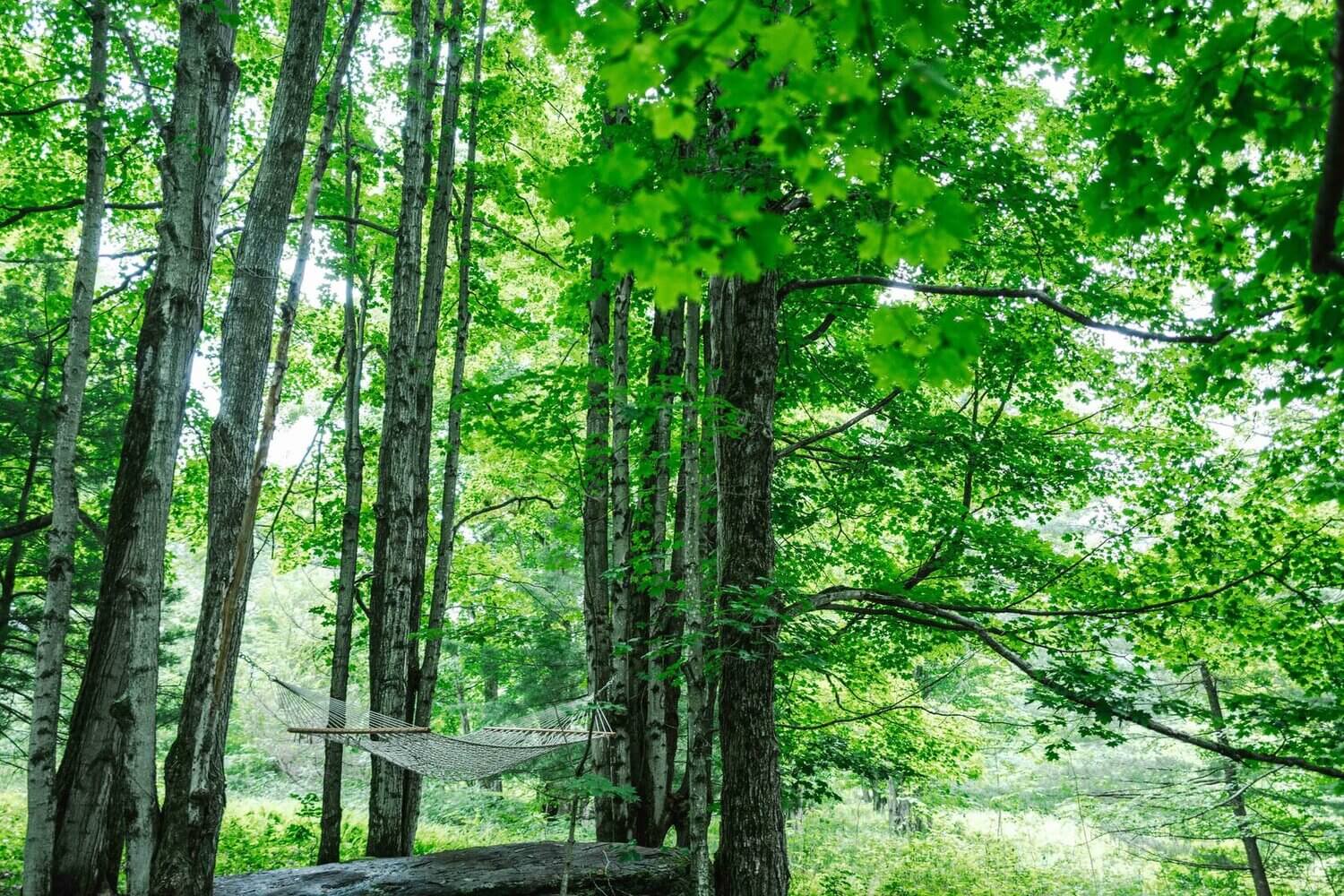 The Hunter Barnhouse: A Stylish Slow Living Airbnb Surrounded by Nature 34 the hunter barnhouse airbnb nordroom33 The Hunter Barnhouse: A Stylish Slow Living Airbnb Surrounded by Nature