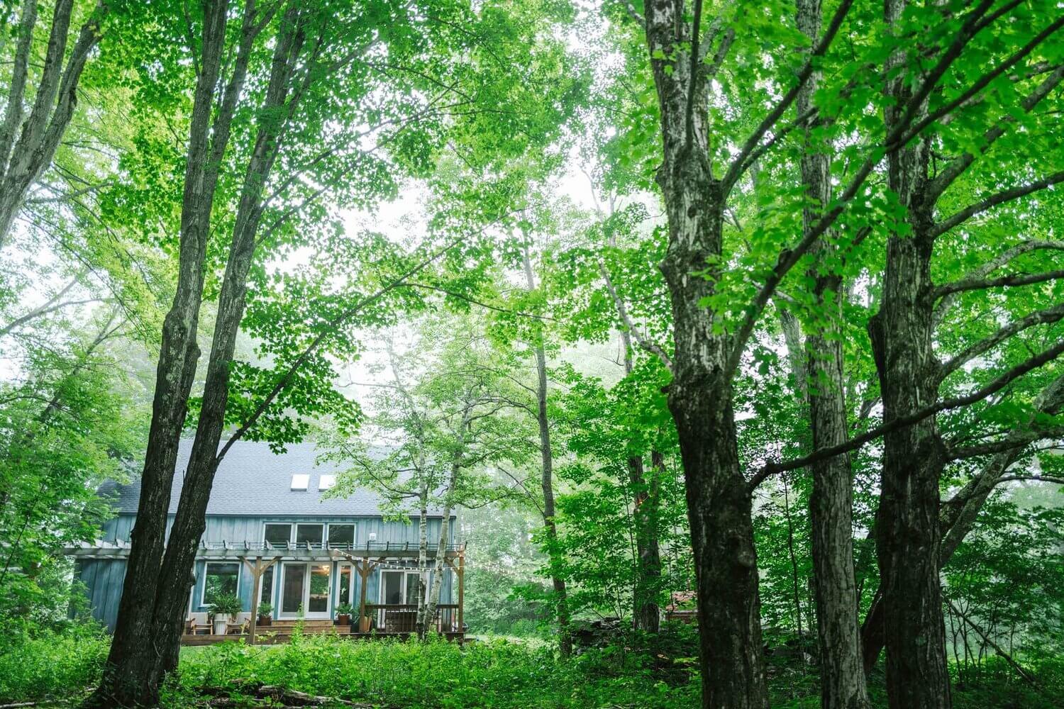 The Hunter Barnhouse: A Stylish Slow Living Airbnb Surrounded by Nature 35 the hunter barnhouse airbnb nordroom34 The Hunter Barnhouse: A Stylish Slow Living Airbnb Surrounded by Nature