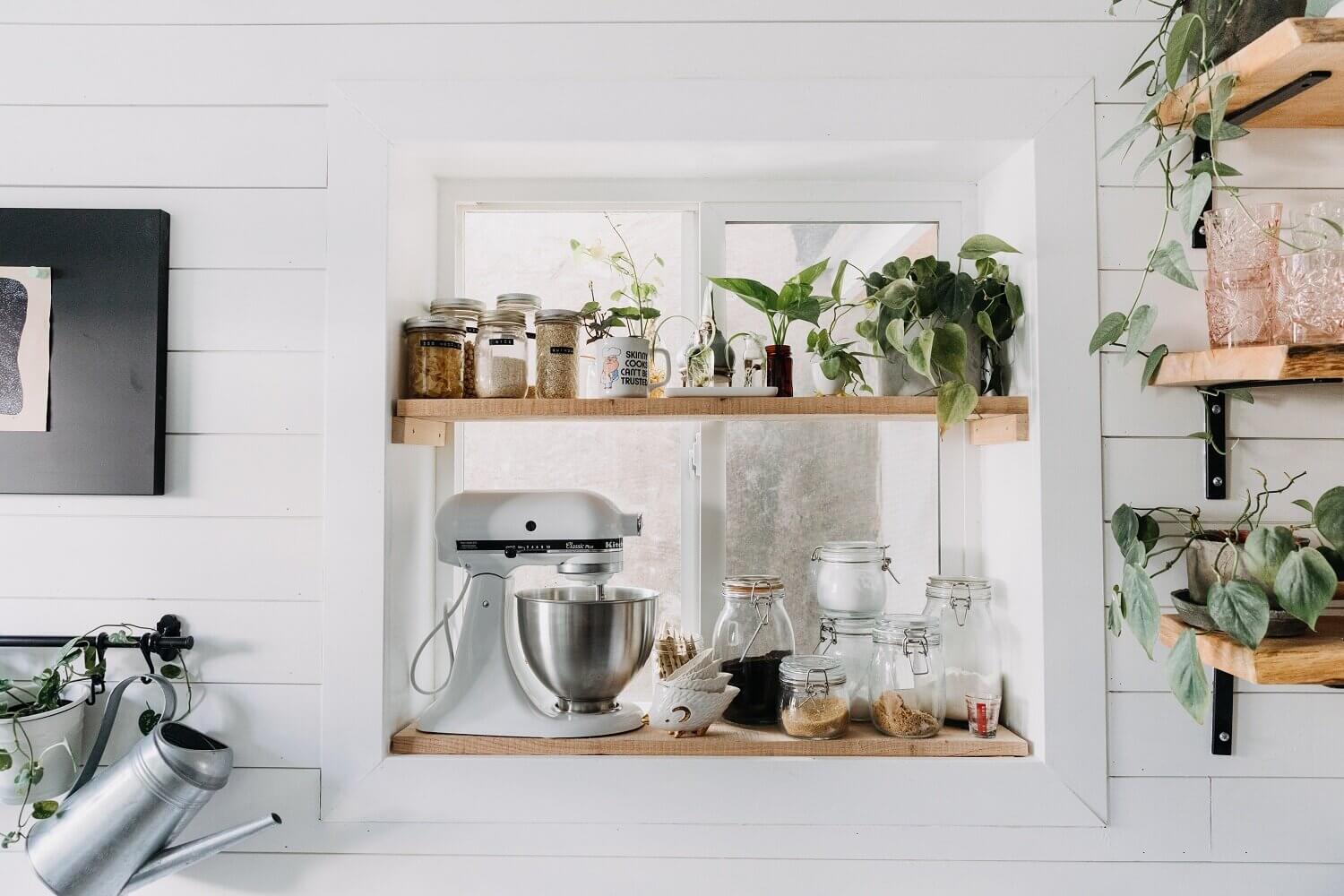 A Cozy Plant-Filled Home in Philadelphia 13 plant filled home philadelphia nordroom12 A Cozy Plant-Filled Home in Philadelphia