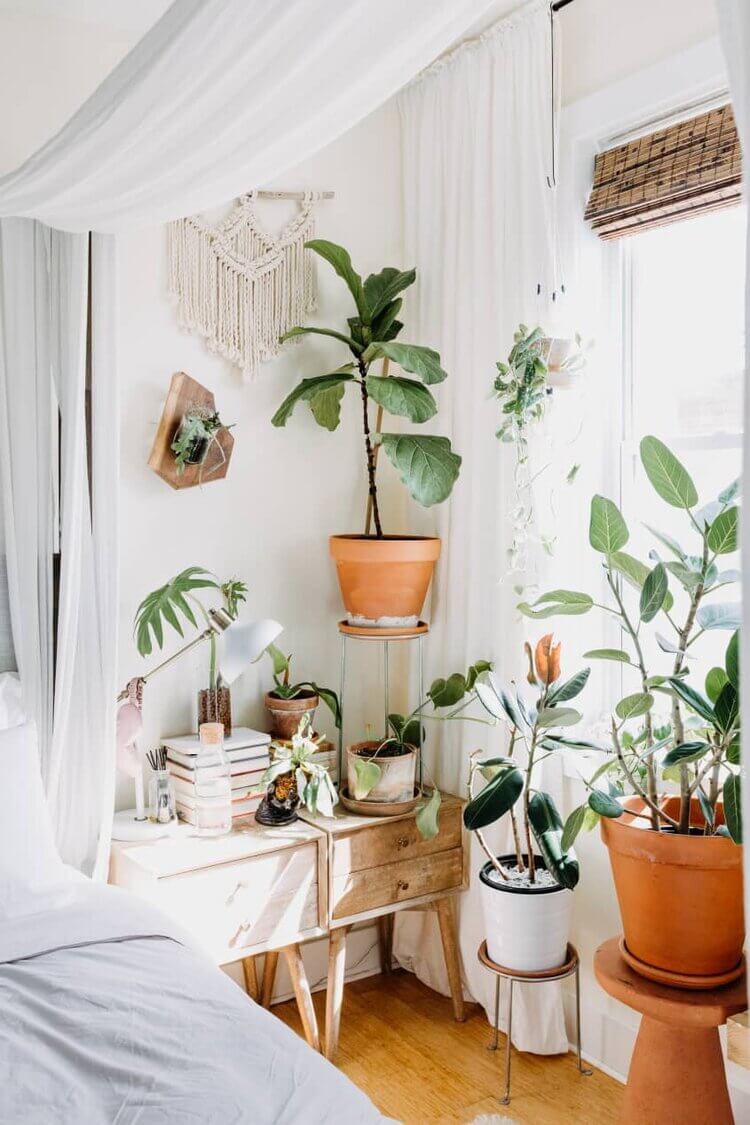 A Cozy Plant-Filled Home in Philadelphia 16 plant filled home philadelphia nordroom15 A Cozy Plant-Filled Home in Philadelphia