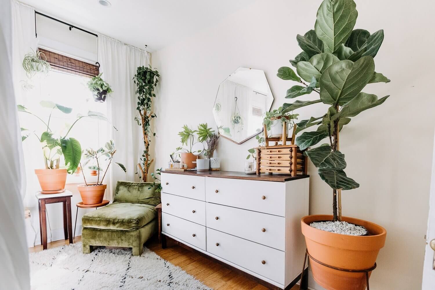 A Cozy Plant-Filled Home in Philadelphia 17 plant filled home philadelphia nordroom16 A Cozy Plant-Filled Home in Philadelphia