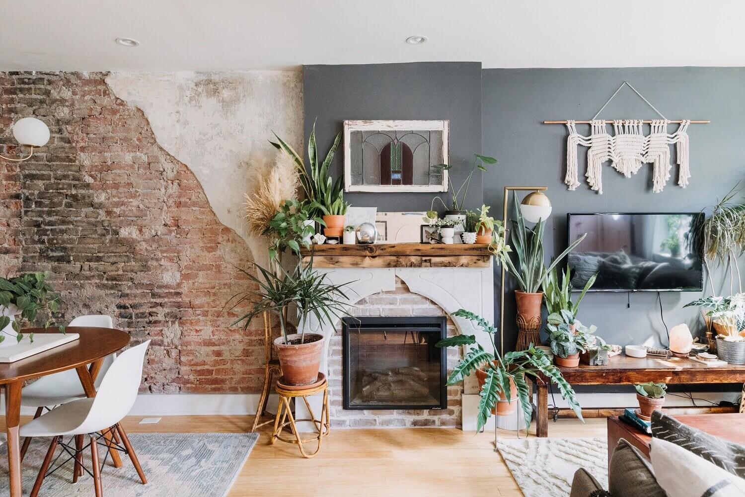 A Cozy Plant-Filled Home in Philadelphia 3 plant filled home philadelphia nordroom2 A Cozy Plant-Filled Home in Philadelphia