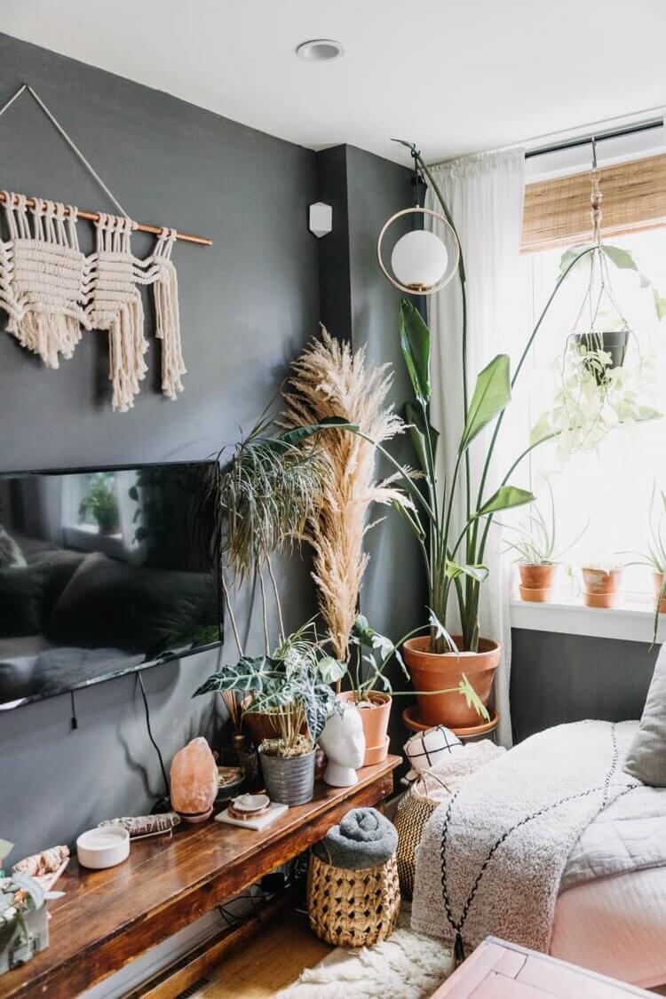 A Cozy Plant-Filled Home in Philadelphia 4 plant filled home philadelphia nordroom3 A Cozy Plant-Filled Home in Philadelphia