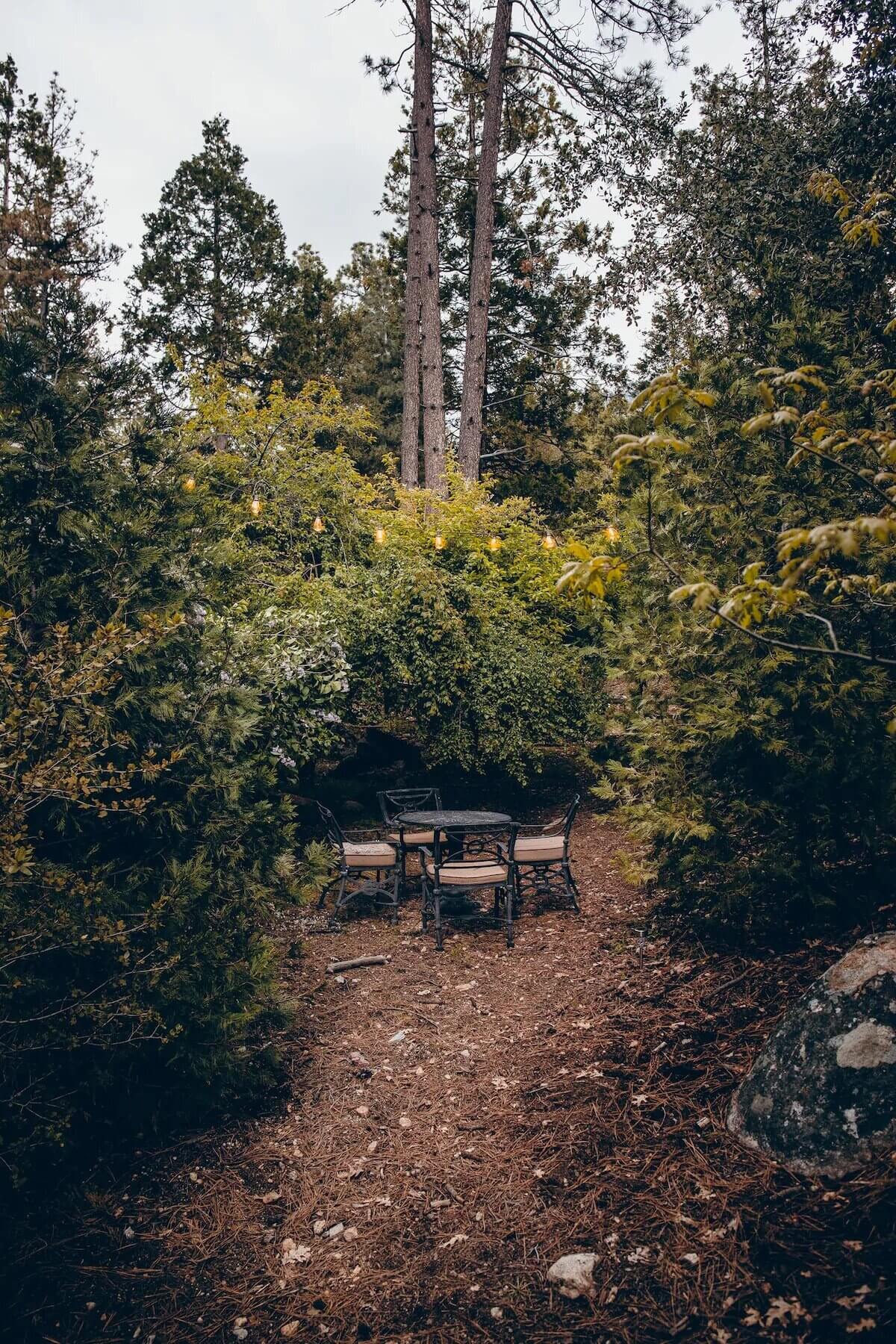 Whiskey Creek Cabin | A Cozy Airbnb Surrounded by Pine Trees 16 whiskey creek cabin airbnb nordroom15 Whiskey Creek Cabin | A Cozy Airbnb Surrounded by Pine Trees
