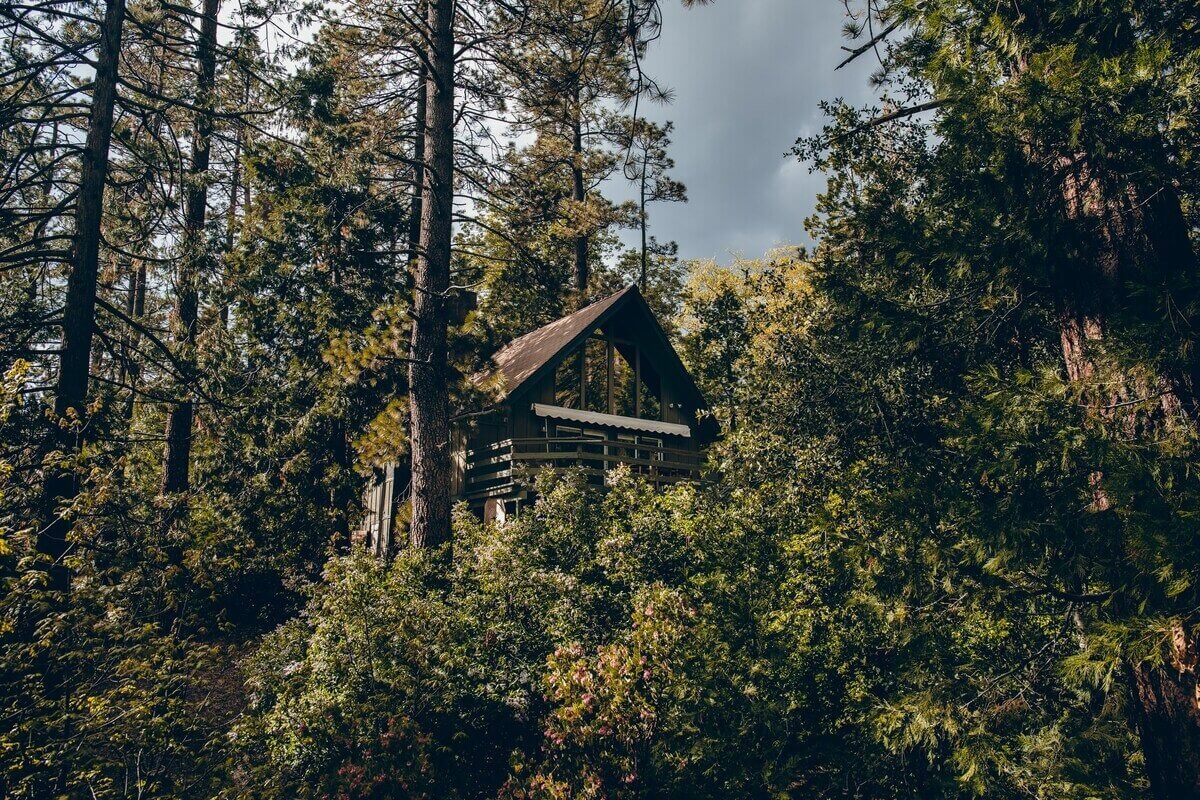 Whiskey Creek Cabin | A Cozy Airbnb Surrounded by Pine Trees 17 whiskey creek cabin airbnb nordroom16 Whiskey Creek Cabin | A Cozy Airbnb Surrounded by Pine Trees