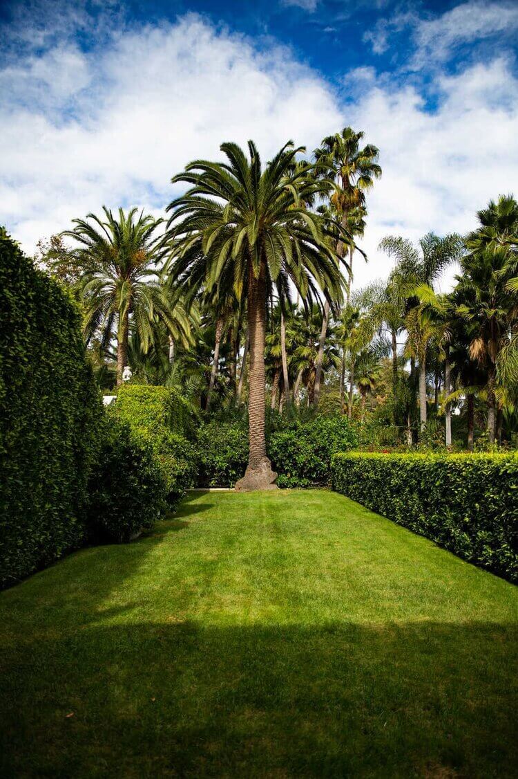 A 1930s Mediterranean-Style Estate in Santa Monica 17 A1930sMediterranean StyleEstateinSantaMonica TheNordroom17grid A 1930s Mediterranean-Style Estate in Santa Monica