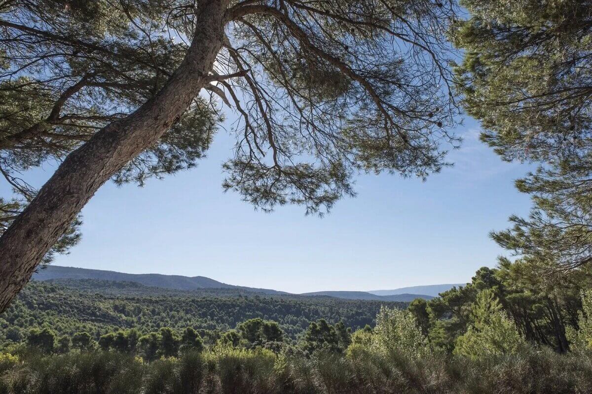 For Sale: A Beautiful 16th-Century Bastide in the Provence 10 16th-century-bastide-provence-nordroom