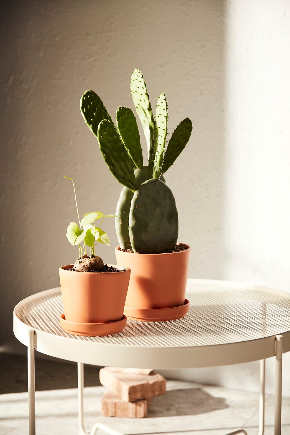 IKEA Spring Catalog: Colorful Decor + Storage Solutions 9 IKEA-BRUNBAR-spring-collection-nordroom