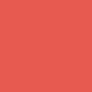 Best Paint Colors for a Colorful Small Bedroom 21 benjamin moore dark salmon nordroom Best Paint Colors for a Colorful Small Bedroom