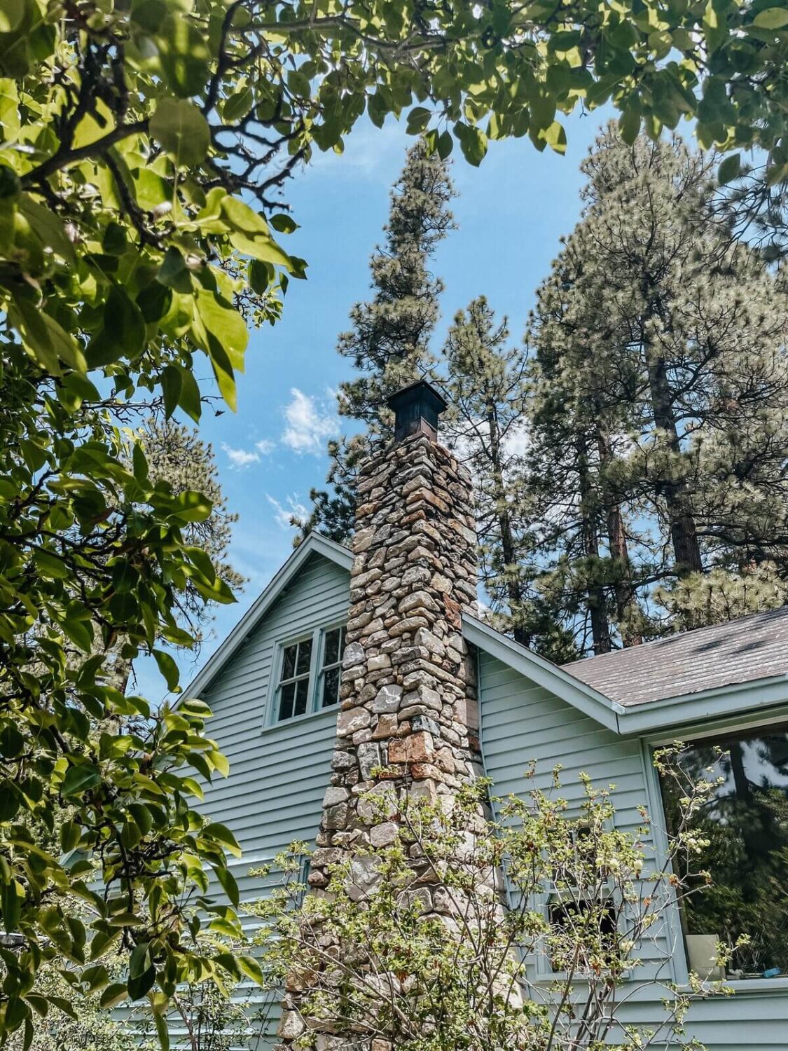 An Interior Designer's Colorful Airbnb Cabin 21 blue-cabin-in-the-woods-nordroom