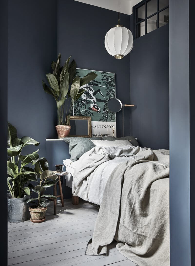 Best Paint Colors for a Colorful Small Bedroom 2 small-dark-blue-bedroom-plants-nordroom