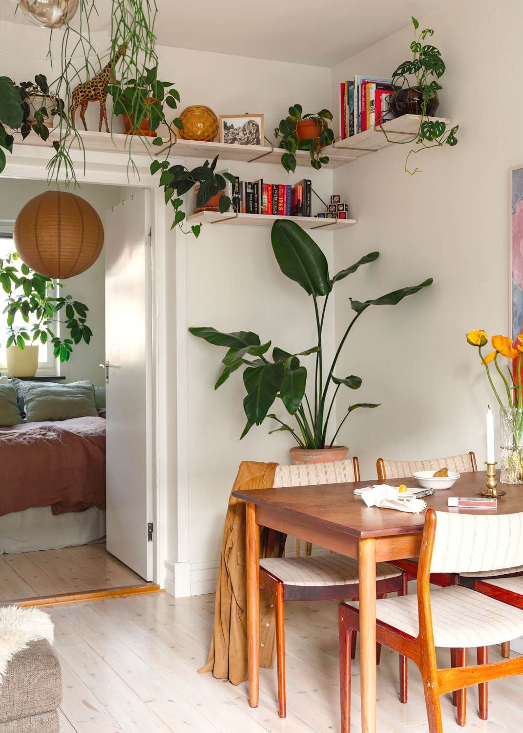 A Small Light Apartment with Plants 7 dining-area-plants-shelves-nordroom