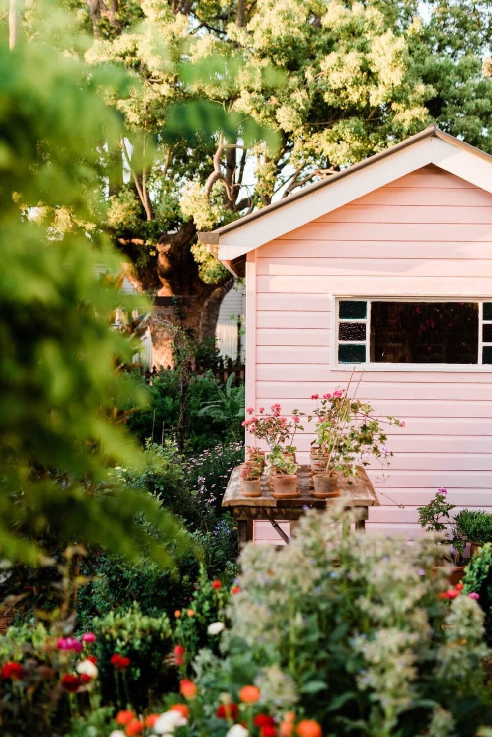 Norwood Roses: A Vintage Cottage in Australia 13 pink-cottage-airbnb-rose-garden-australia-nordroom