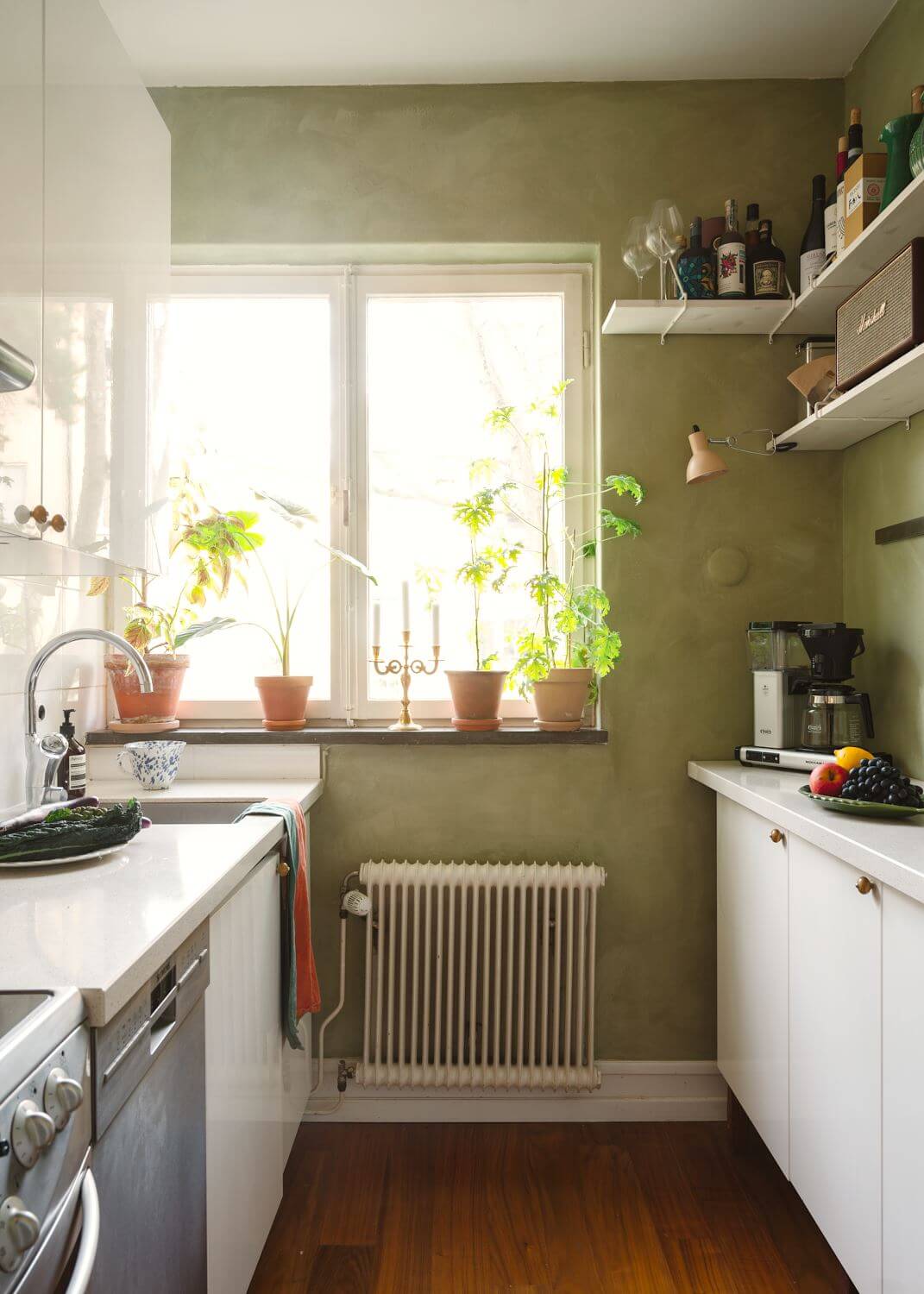 A Small Light Apartment with Plants 11 small-galley-kitchen-green-walls-nordroom