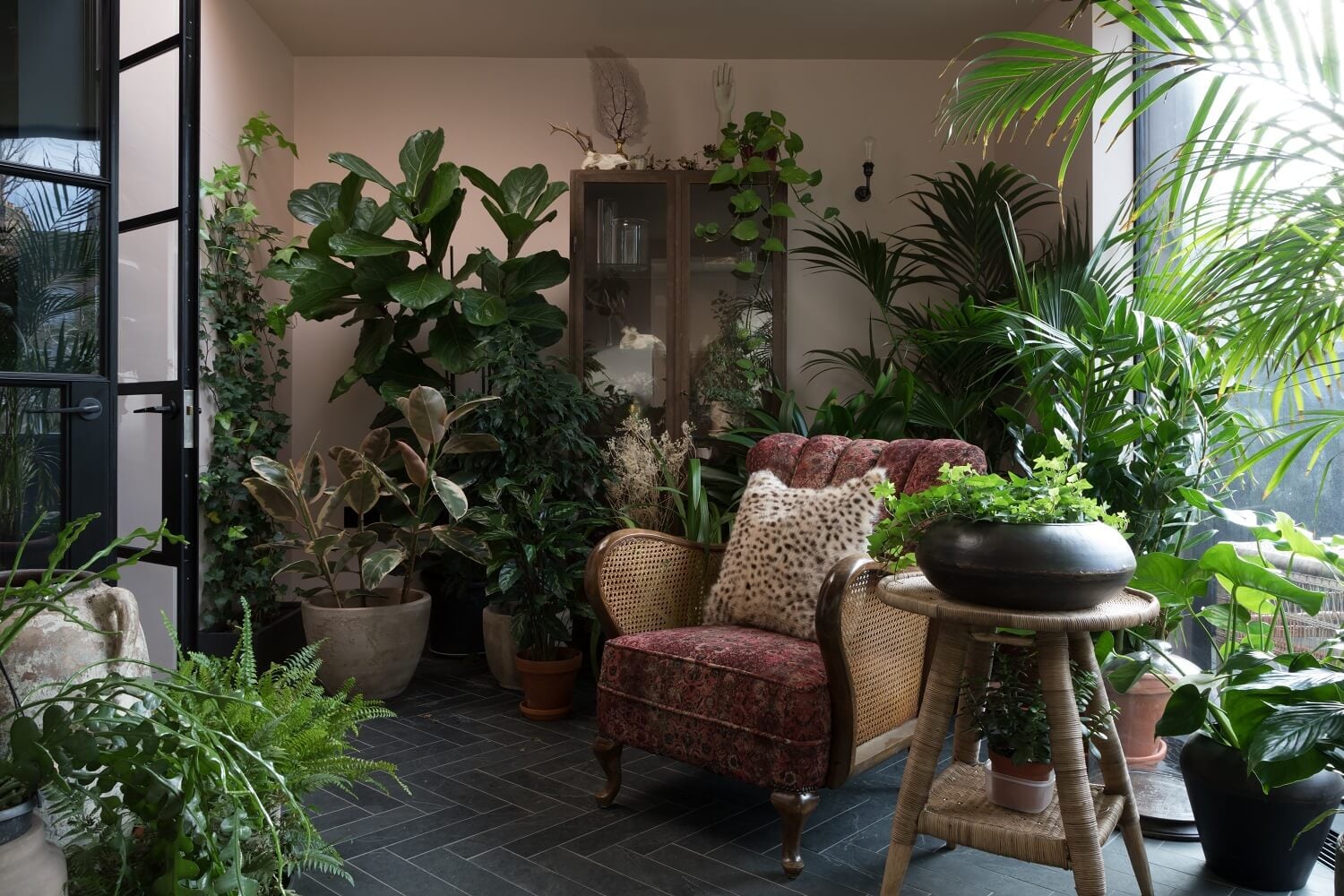 Contrasting Styles in a Victorian Home in London 4 sitting-room-plants-victorian-home-london-nordroom
