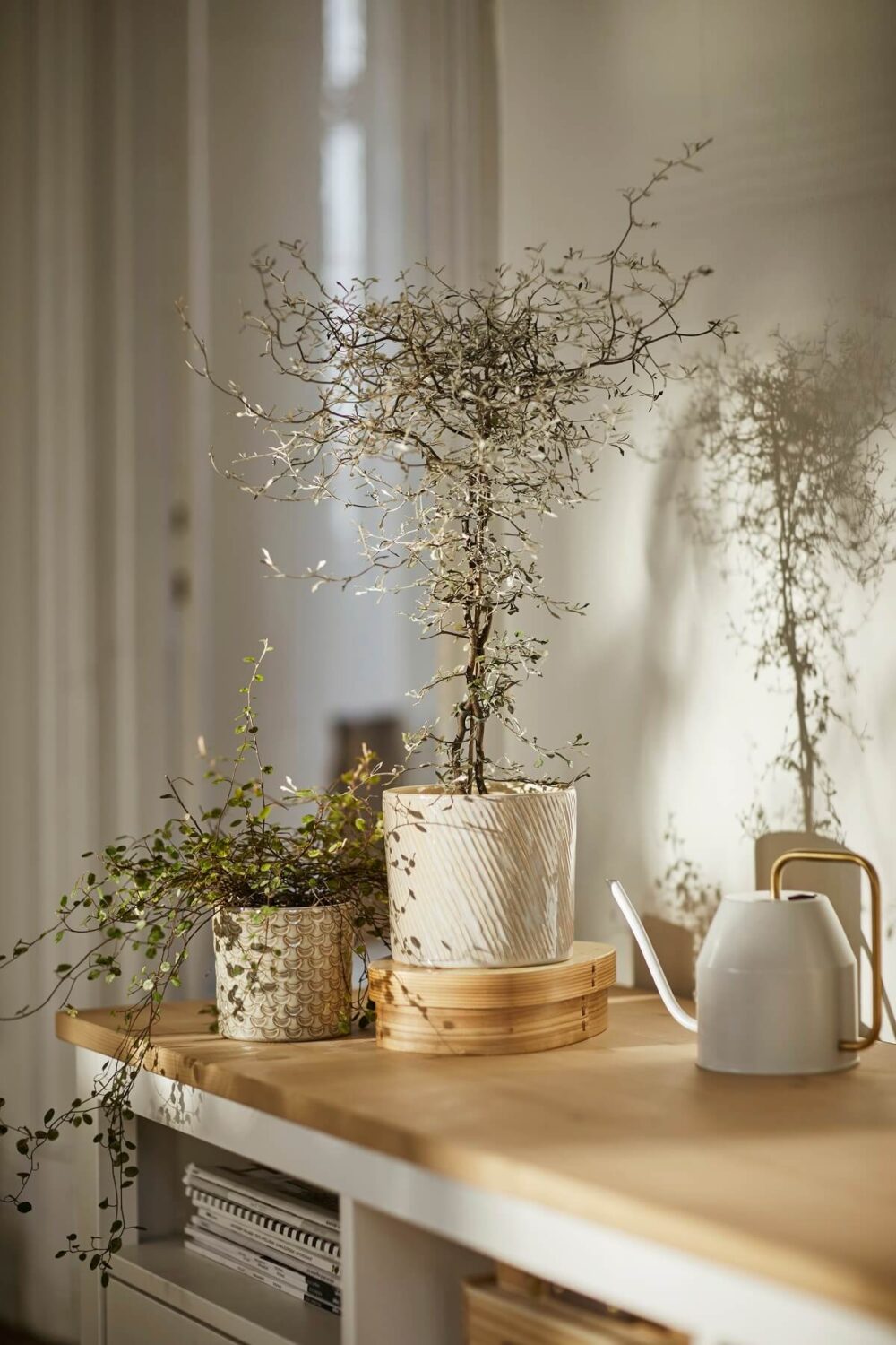 IKEA CHIAFRON plant pot nordroom IKEA Catalog 2023 (And More IKEA News)