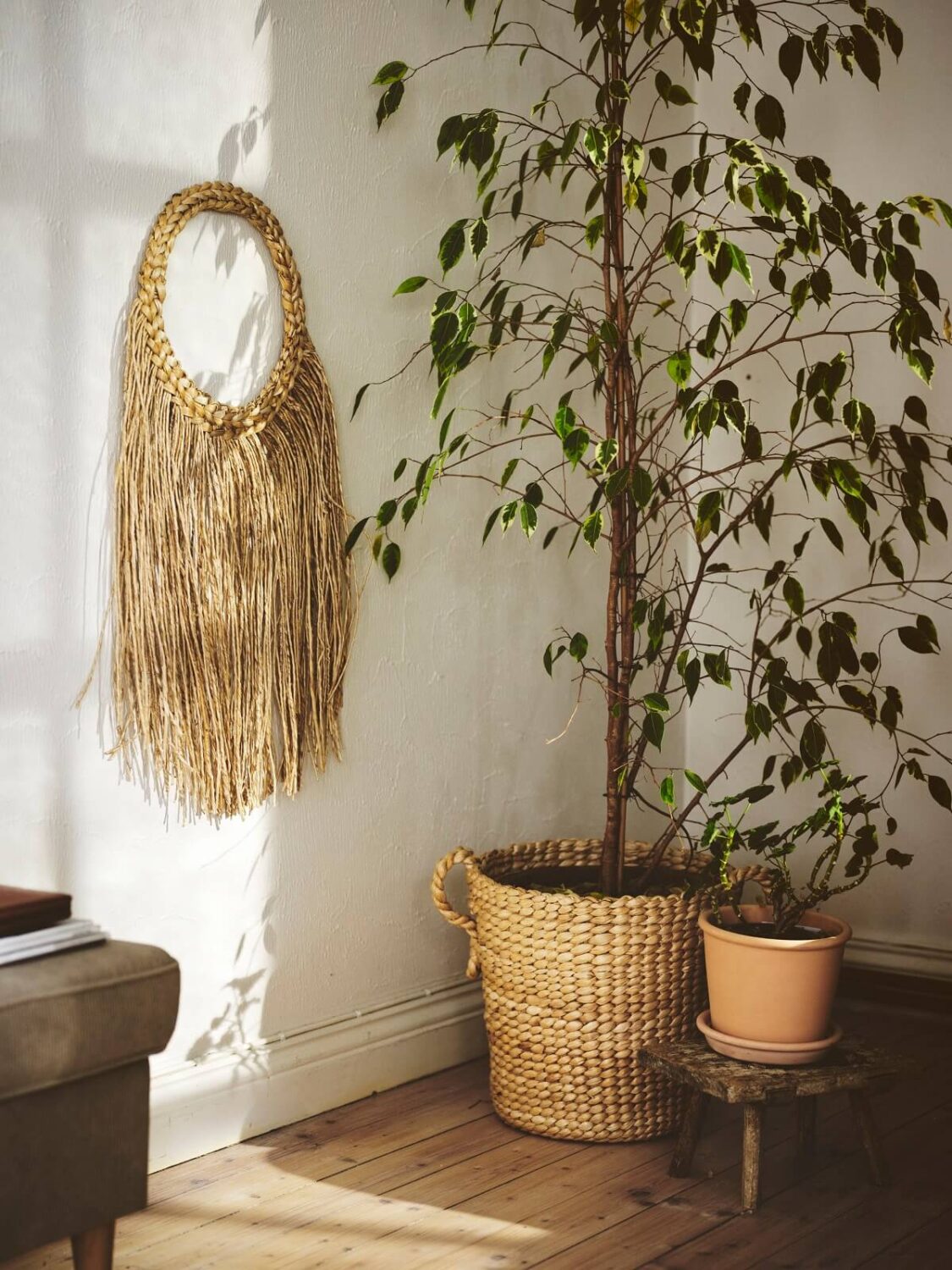 IKEA IGELSTORP wall decoration nordroom IKEA Catalog 2023 (And More IKEA News)