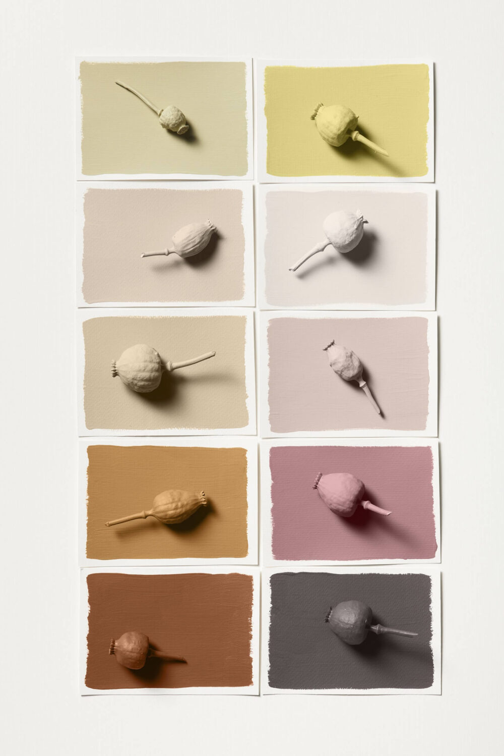 Dulux Colour of the Year 2023: Wild Wonder 13 Dulux-Color-Palette-2023-Buzz-Nordroom