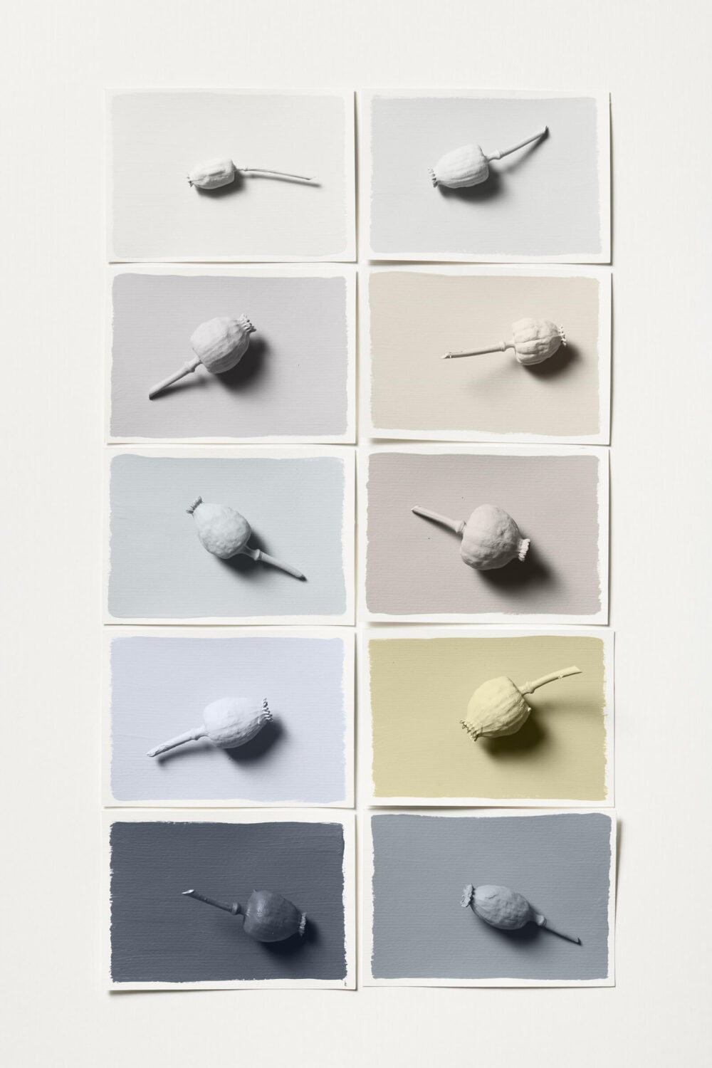 Dulux Colour of the Year 2023: Wild Wonder 25 dulux-color-trends-2023-flow-color-palette-nordroom