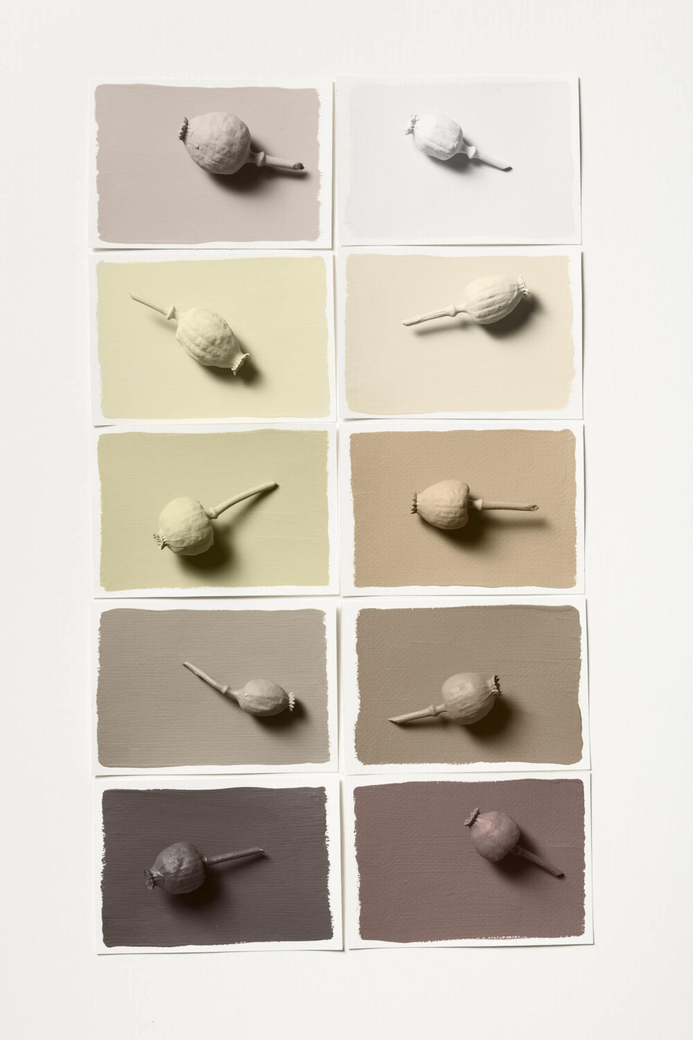 Dulux Colour of the Year 2023: Wild Wonder 19 dulux-color-trends-color-of-the-year-2023-Raw-color-palette-nordroom