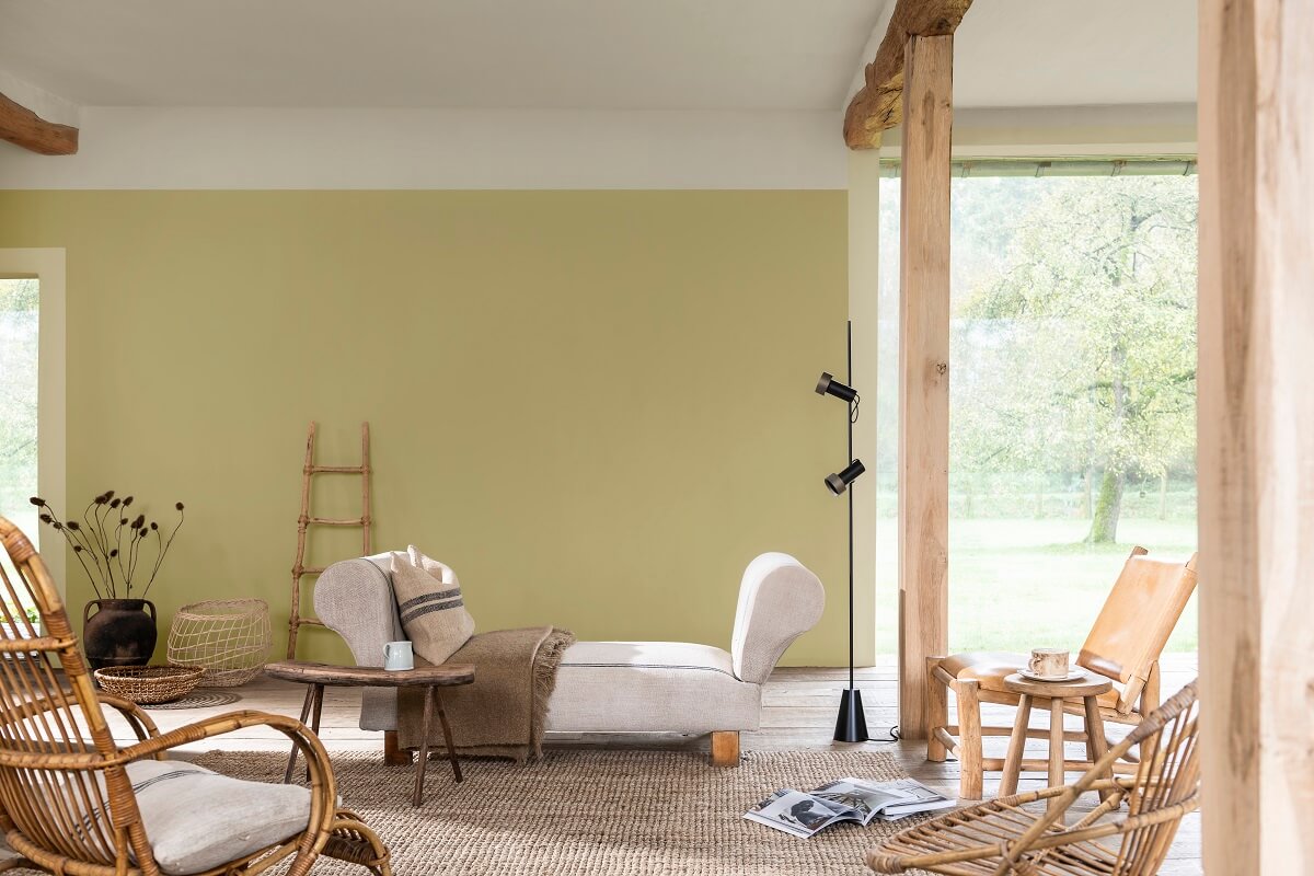Dulux Colour of the Year 2023: Wild Wonder 22 raw-color-palette-dulux-color-trends-wild-wonder-living-room-wall-paint-nordroom