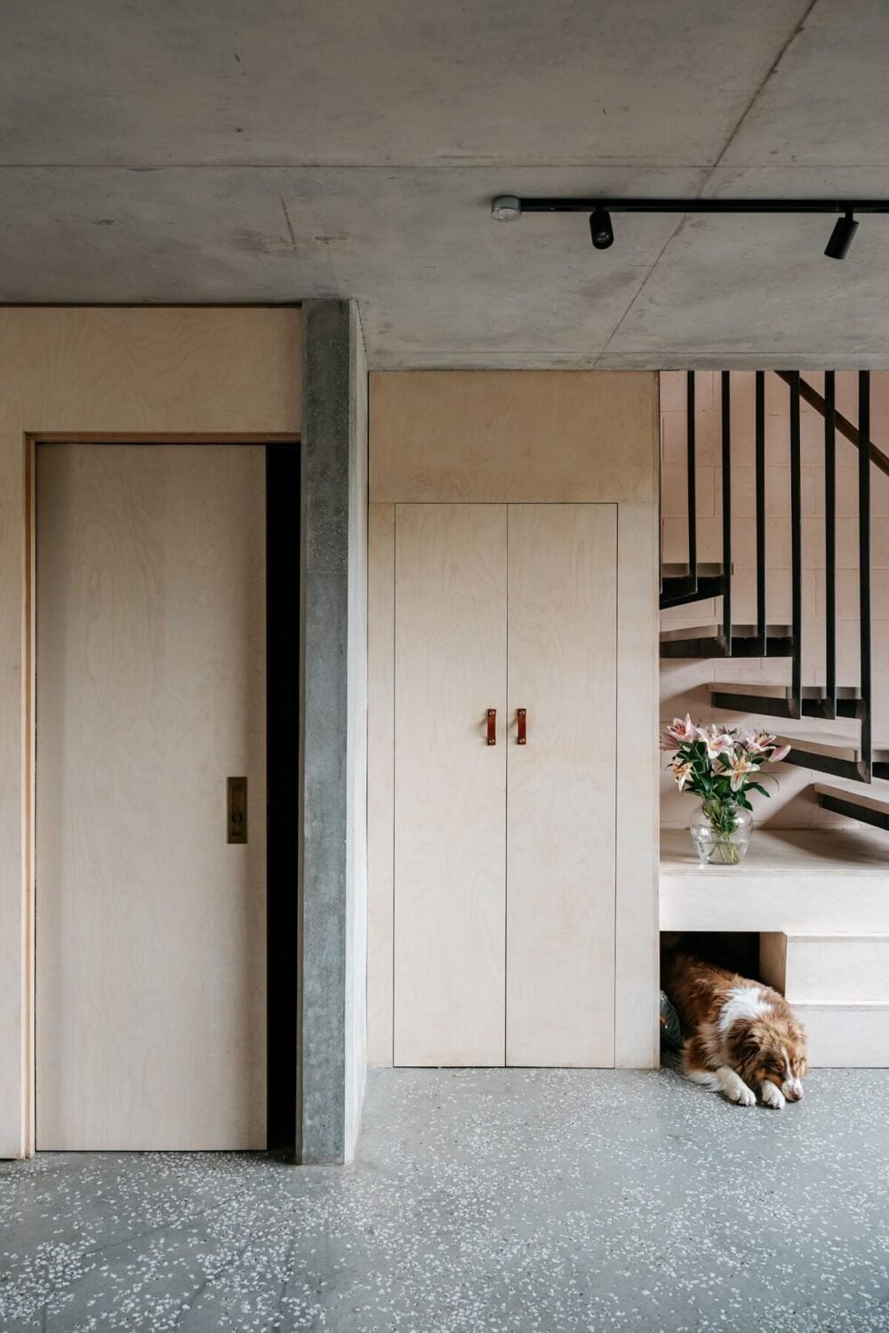 A Contemporary Version of a Victorian Terrace House 10 sliding-door-bathroom-steel-staircase-dog-nook-nordroom