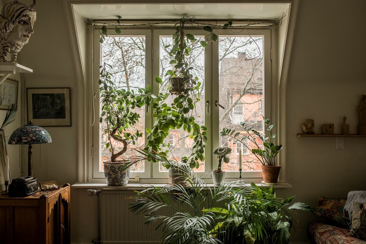 A Cozy Green Kitchen in a Vintage Attic Apartment 14 living-room-plants-slanted-ceiling-nordroom