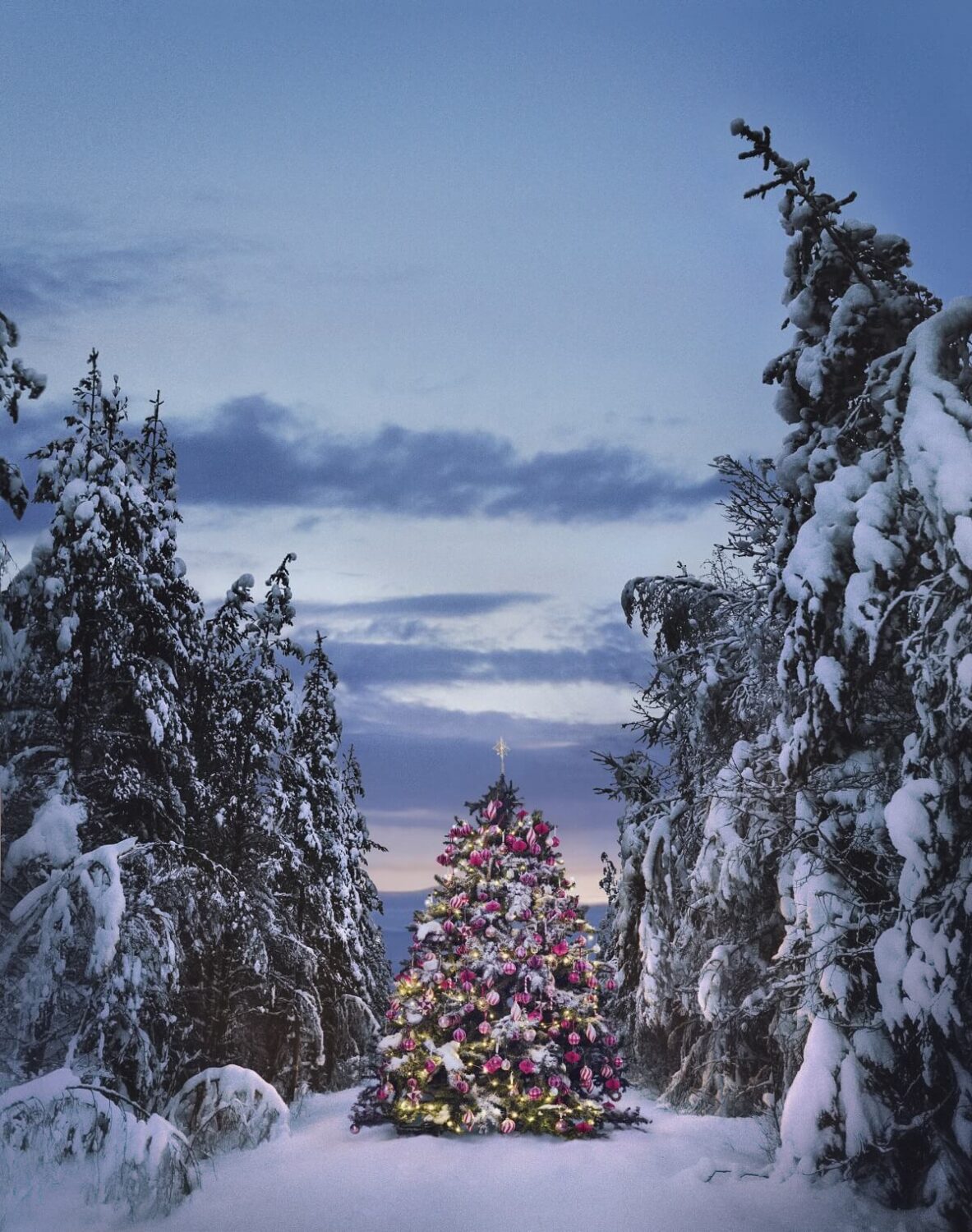 H&M Home Christmas 2022: Let's Play Magic 16 outdoor-christmas-tree-hm-home-christmas-collection-2022-nordroom