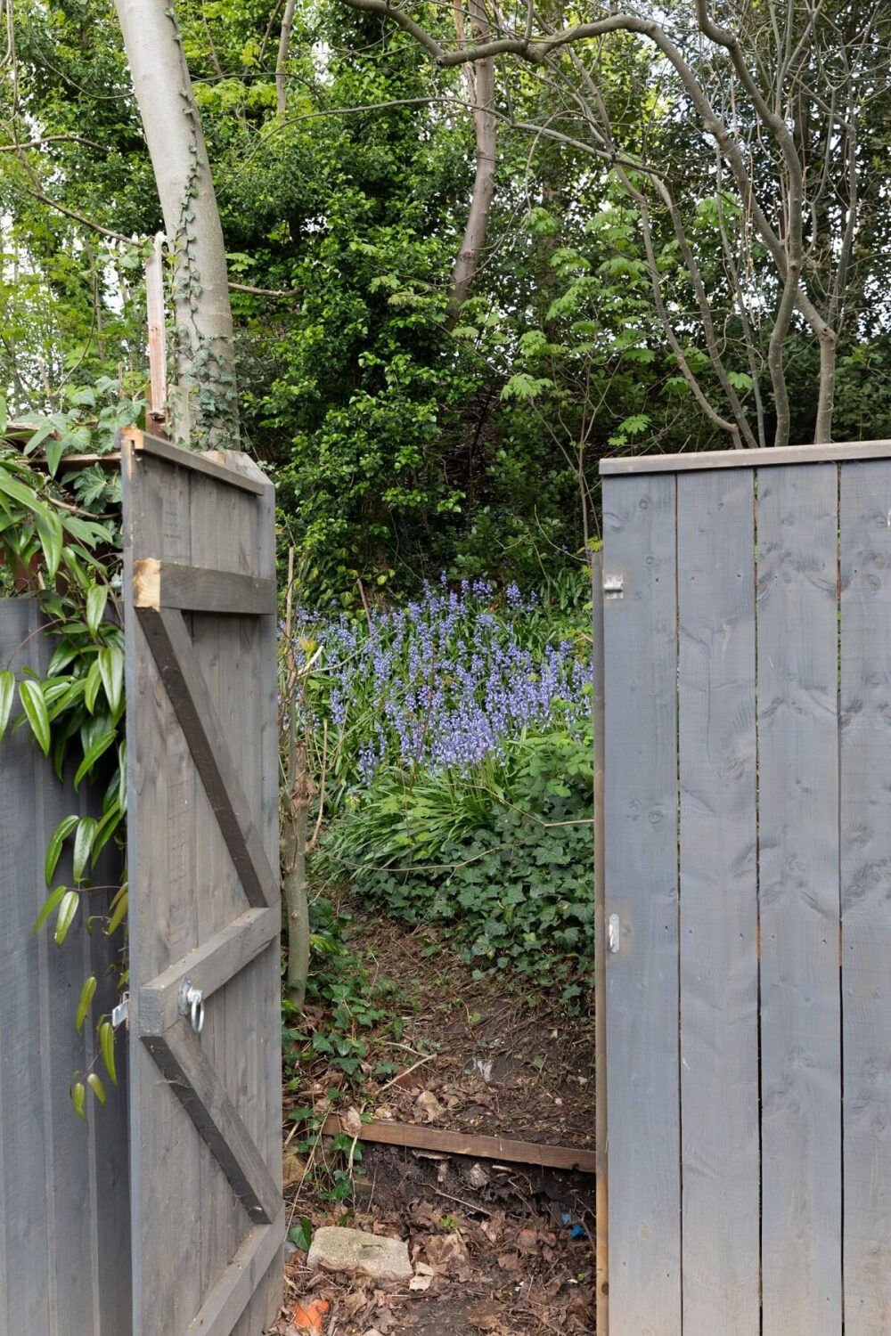 Colorful Rooms in a Family Home in London 23 bluebell-woods-london-nordroom