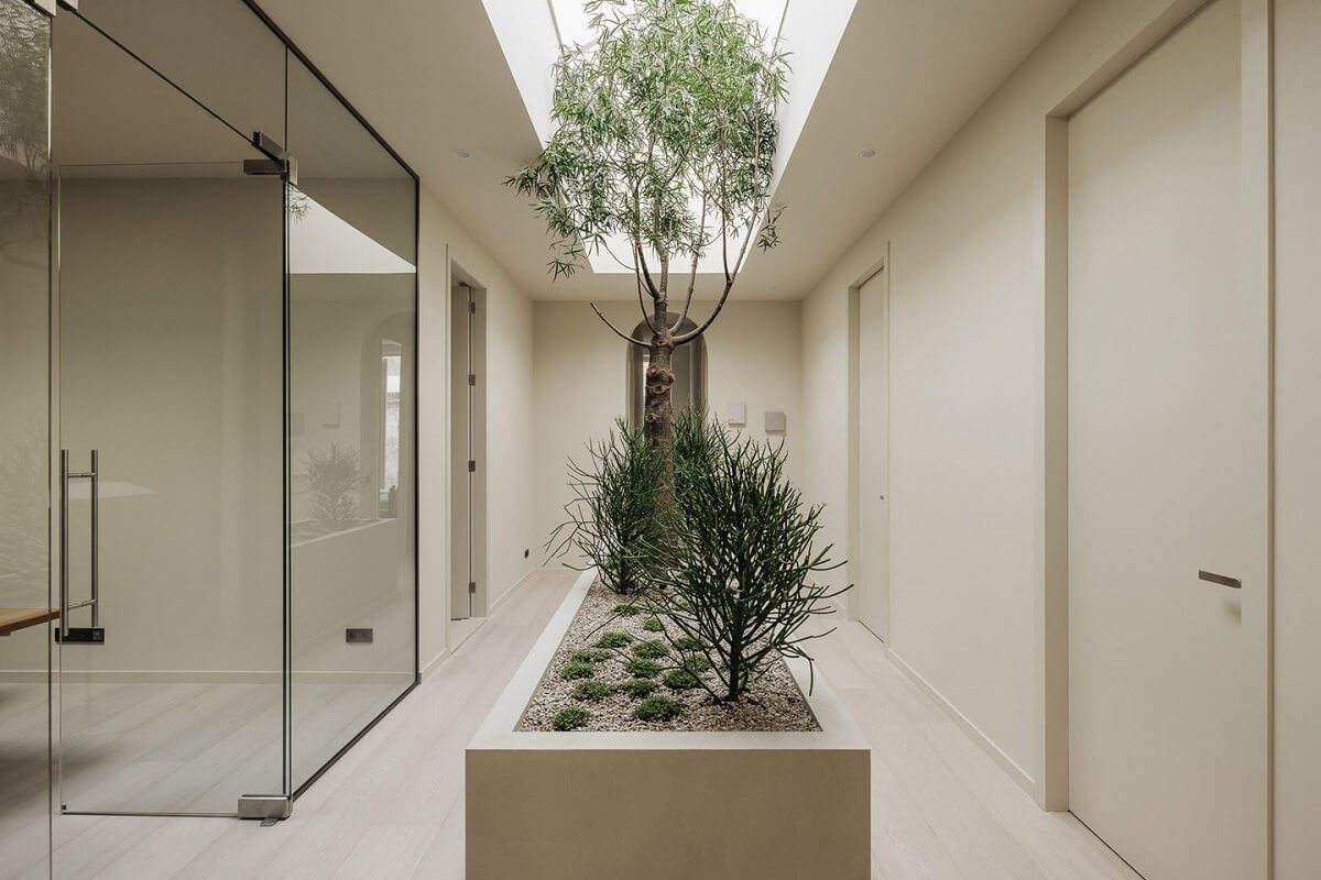 A Modern Home in a Historic Amsterdam Canal House 7 indoor-garden-modern-apartment-amsterdam