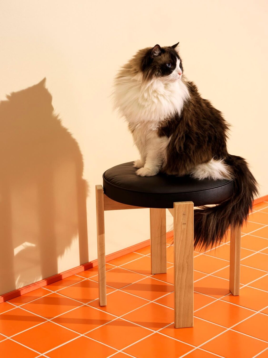 IKEA Nytillverkad Collection Part 2: Bold Prints and Colors 17 IKEA-HOLMSJO-stool-nordroom