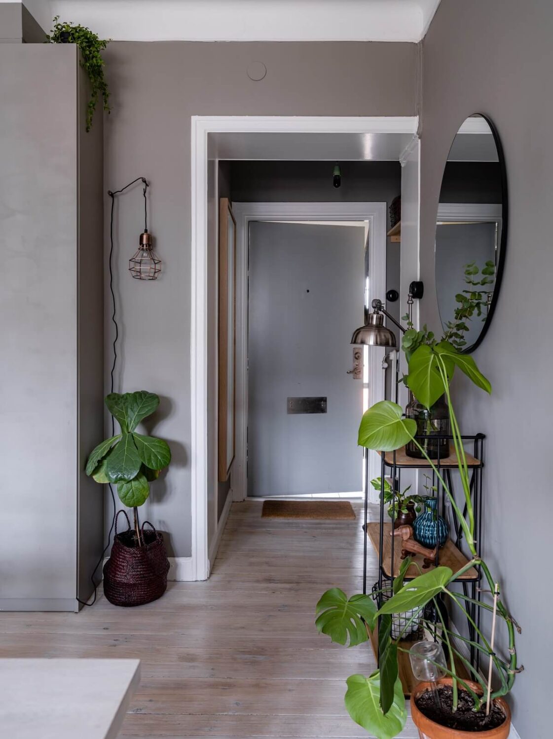 A Gray Nordic Apartment with a Terracotta Bedroom 12 apartment-entry-plant-filled-nordroom