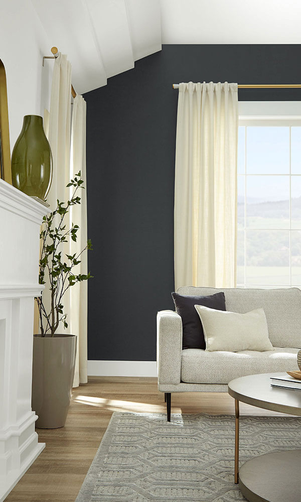 Behr Color of the Year 2024: Cracked Pepper 4 cracked-pepper-behr-accent-wall-living-room-nordroom