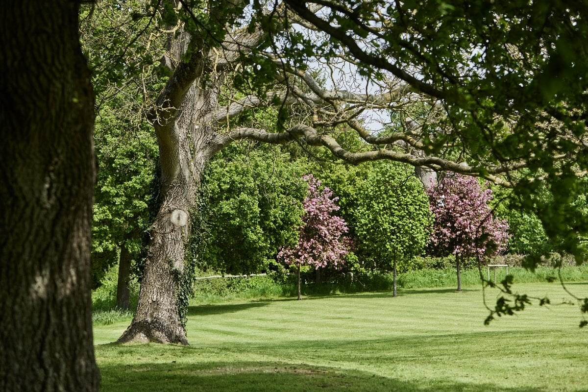 A Restored Georgian House with a Walled Garden 33 english-garden-with-lawn-trees-nordroom