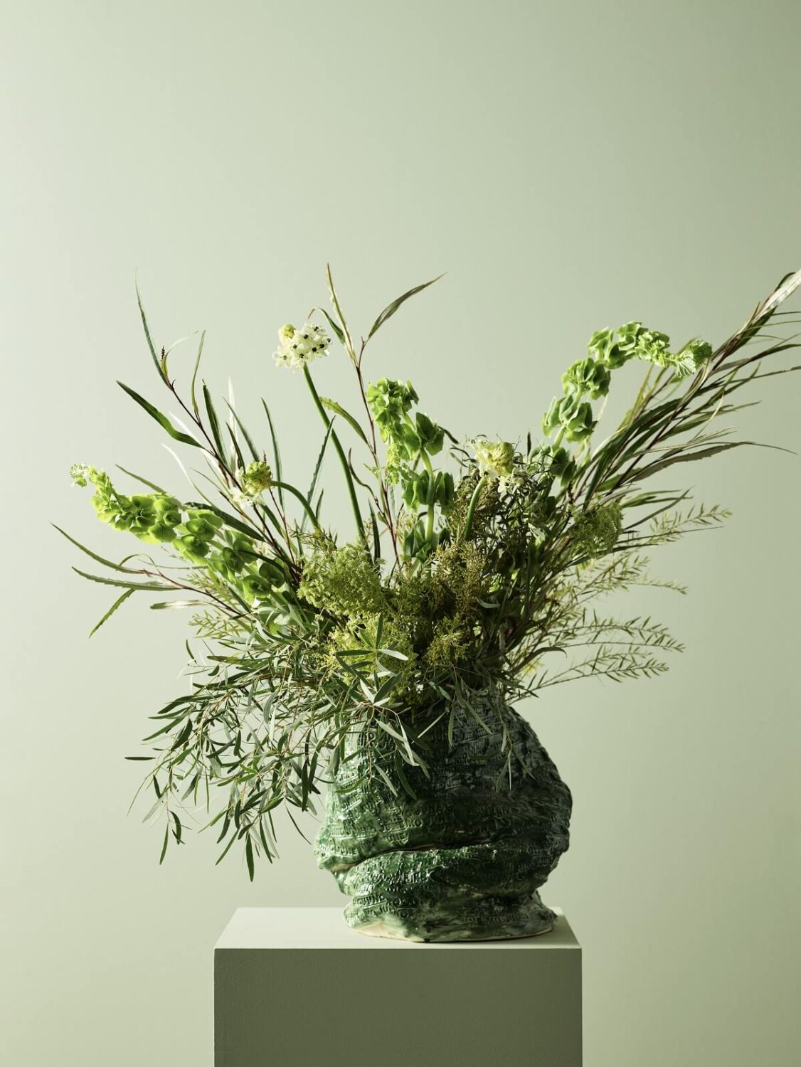 Jotun Lady Color Collection 2024: Your Home is Your Canvas 2 green-plants-jotun-lady-new-colors-nordroom