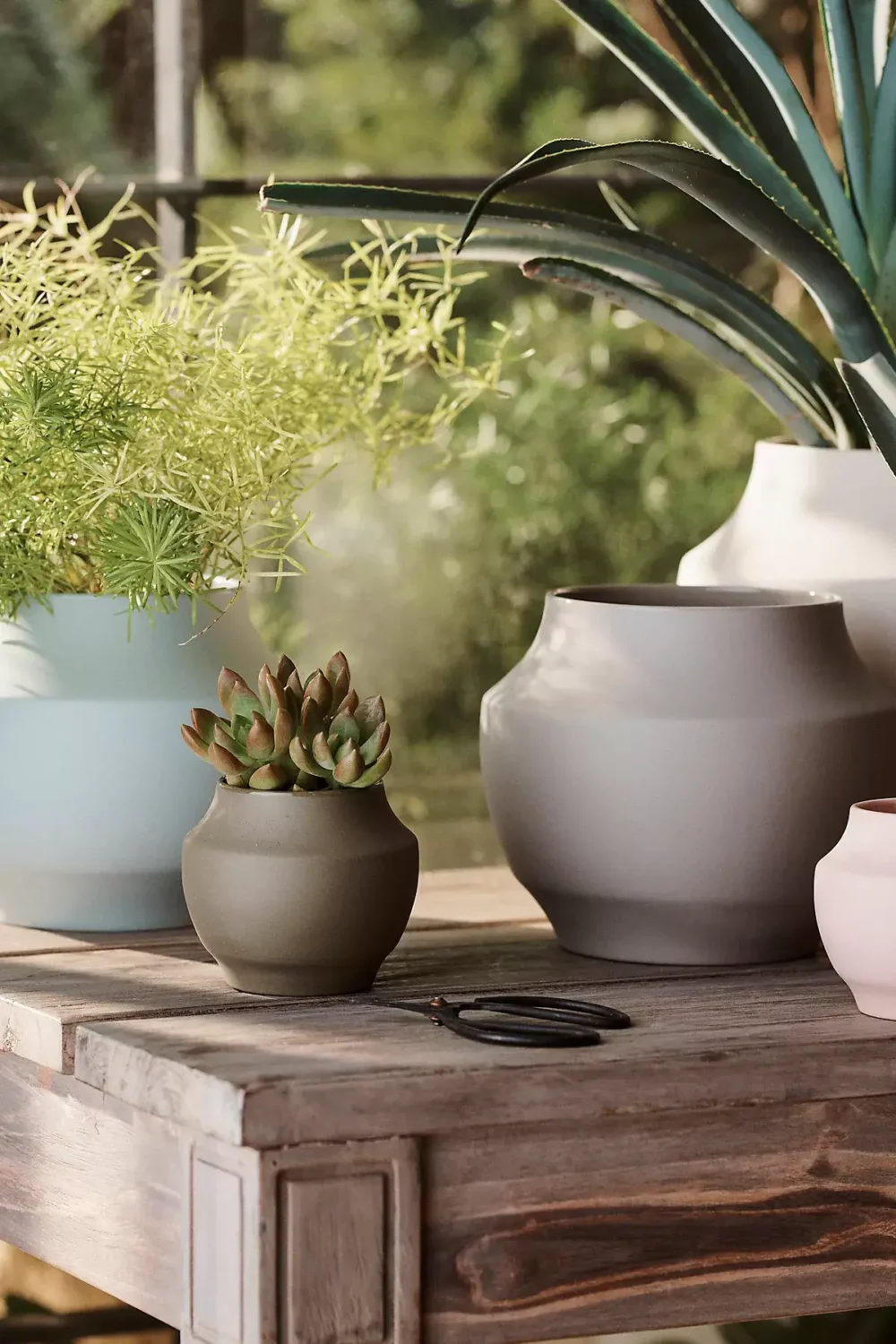 Sherwin-Williams Color of the Year 2024: Upward 41 light-blue-plant-pot-sherwin-williams-upward-color-of-the-year-2024-nordroom