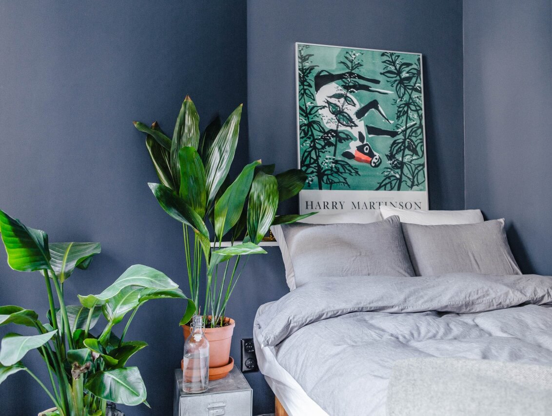 Benjamin Moore Color of the Year 2024: Blue Nova 20 blue-bedroom-benjamin-moore-color-of-the-year-2024-nordroom