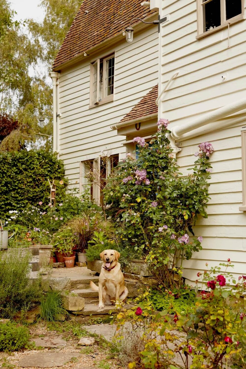 A Charming Historic Farmhouse with a Bright Yellow Kitchen 21 garden path english cottage