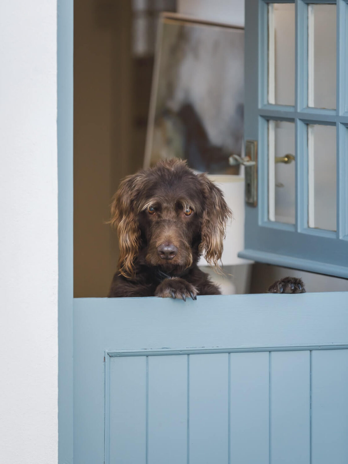 A Light Coastal Home in England 20 blue dutch door