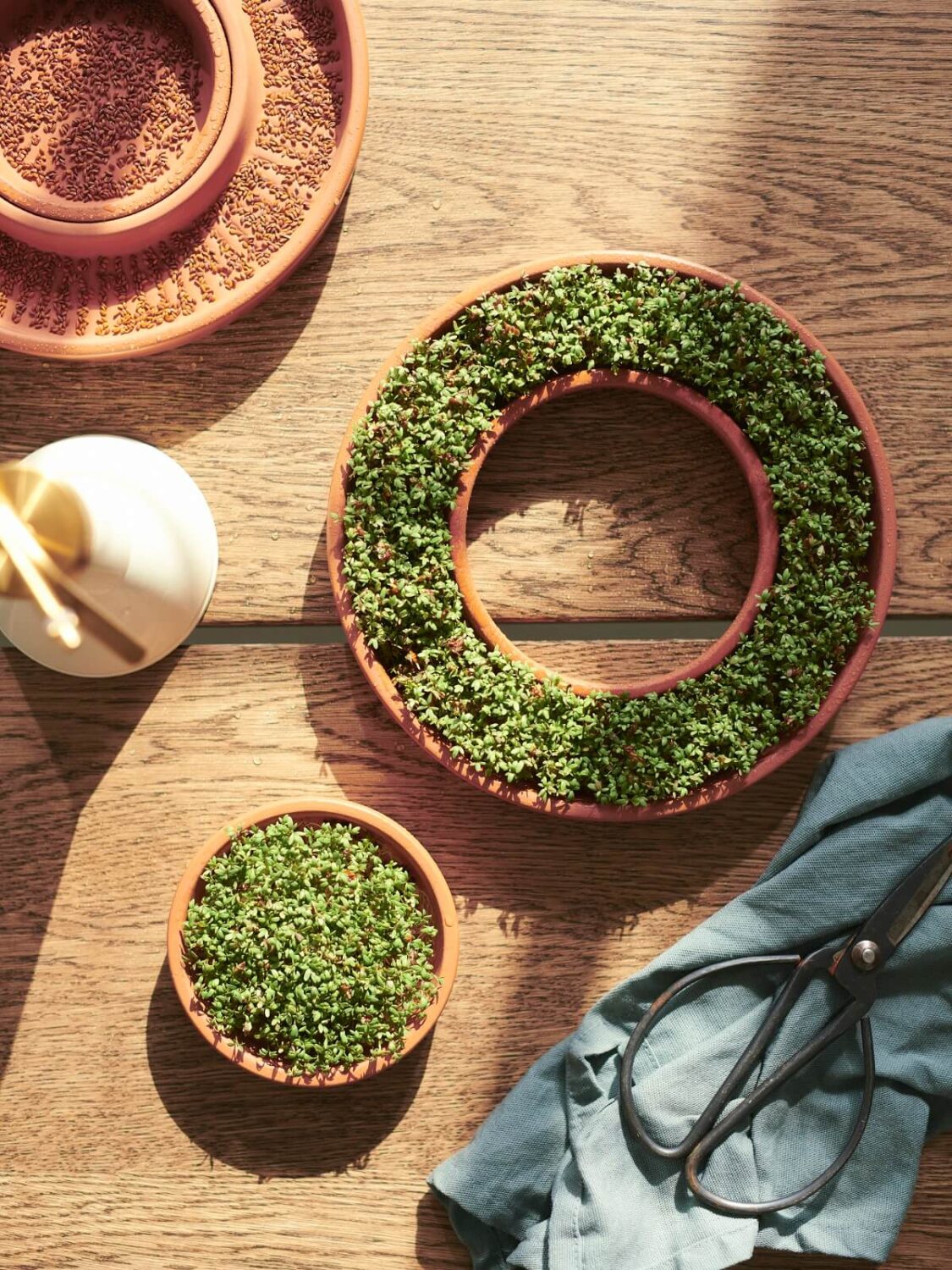 IKEA DAKSJUS: A Limited Collection for Plant Lovers 17 ikea-daksjus-new-collection-