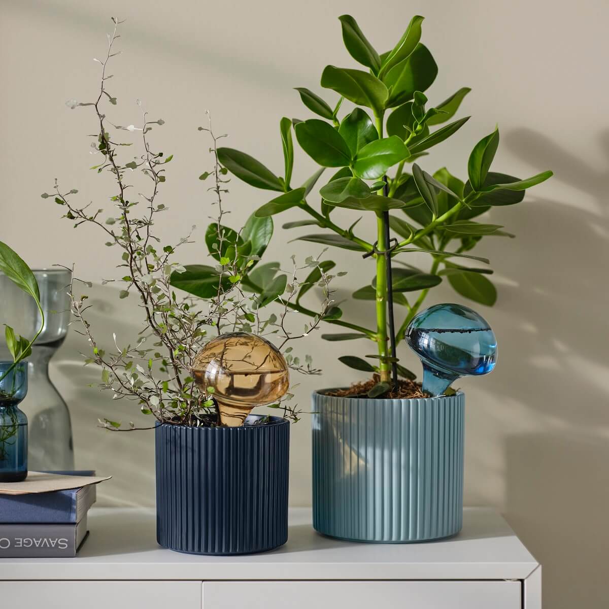 IKEA DAKSJUS: A Limited Collection for Plant Lovers 47 ikea-daksjus-new-collection-blue-plant-pots